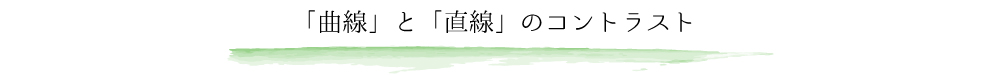 「曲線」と「直線」のコントラスト